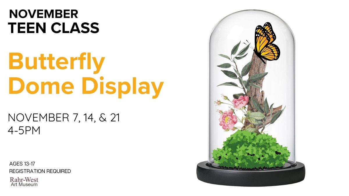 Butterfly Dome Display - Teen Class