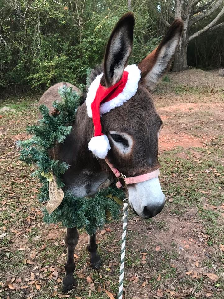 Pancake breakfast with Santa\u2019s elves!