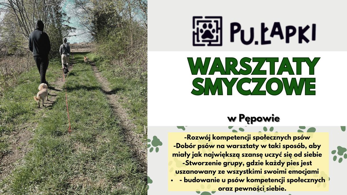 Pu\u0142apkowe warsztaty smyczowe w P\u0119powie