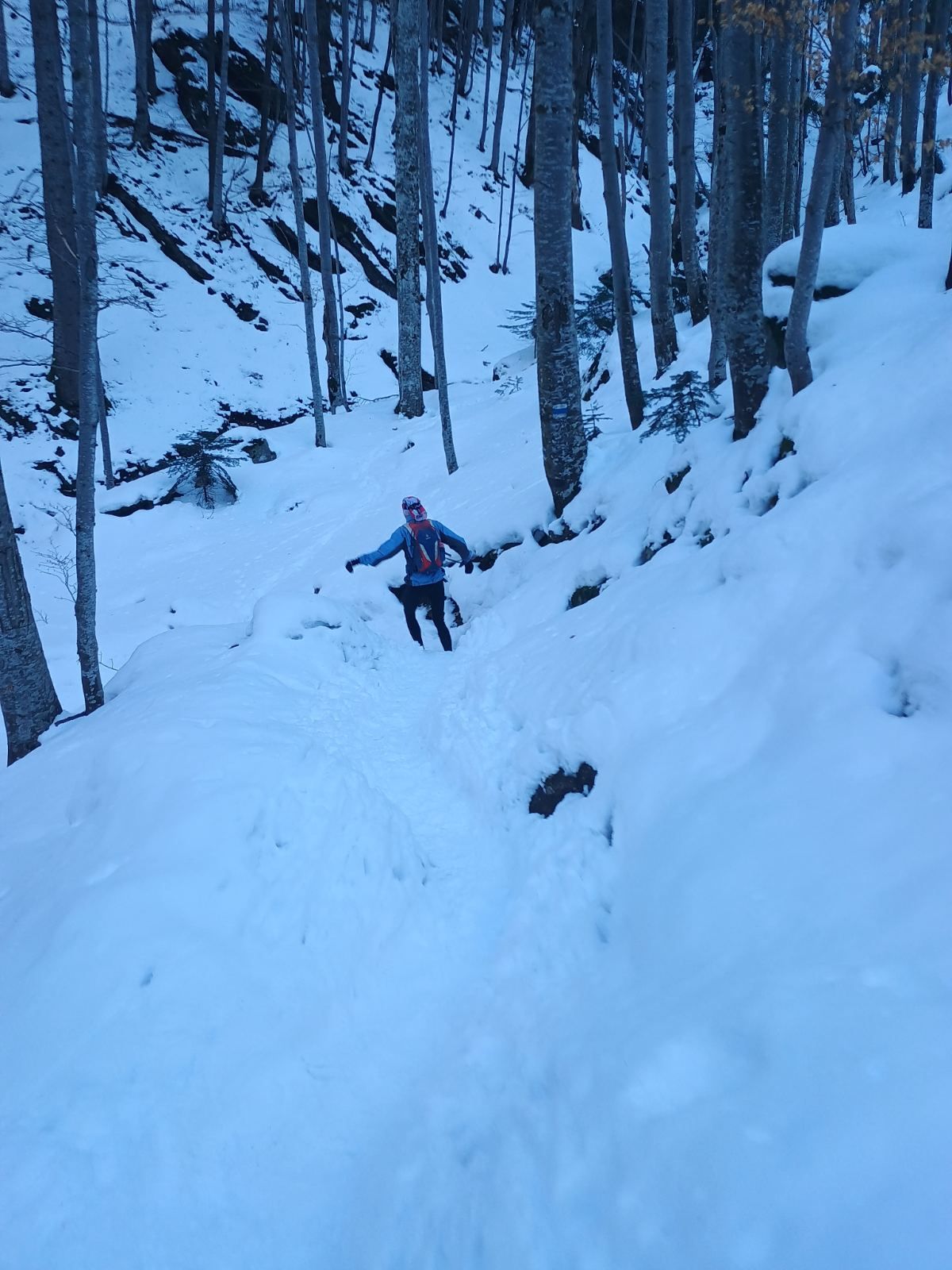 Training Zone Vitosha