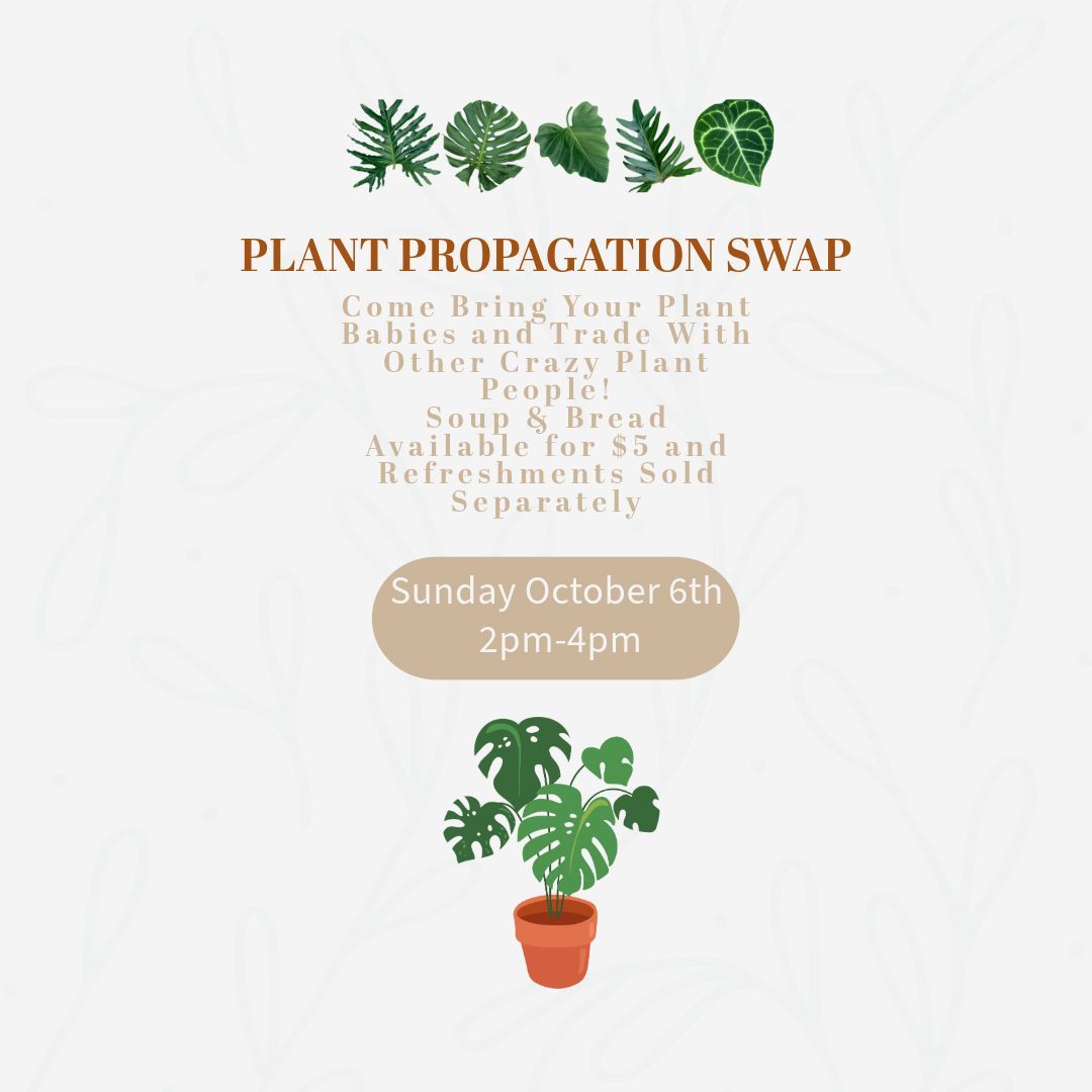 Plant Propogation Party