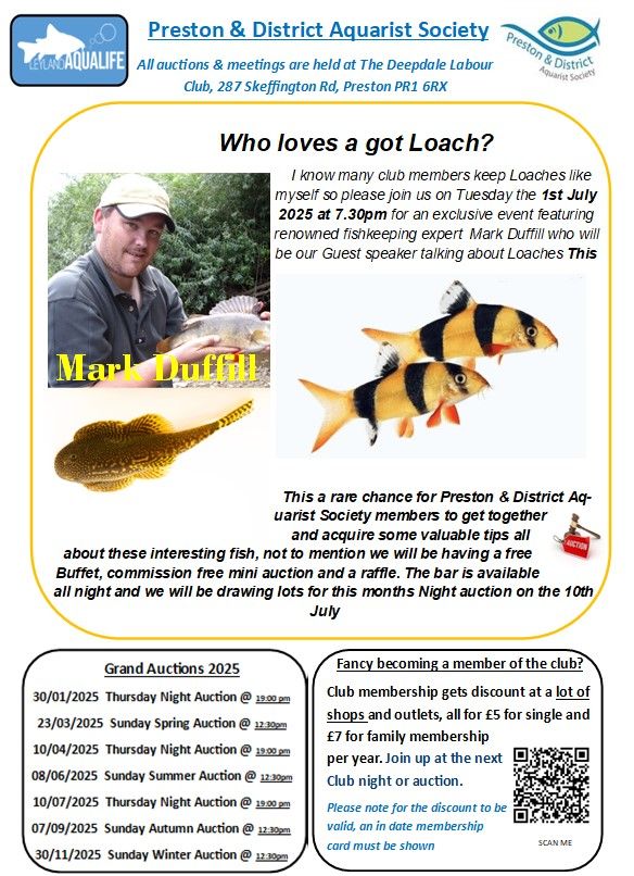 P.D.A.S. Mark Duffill on Loaches