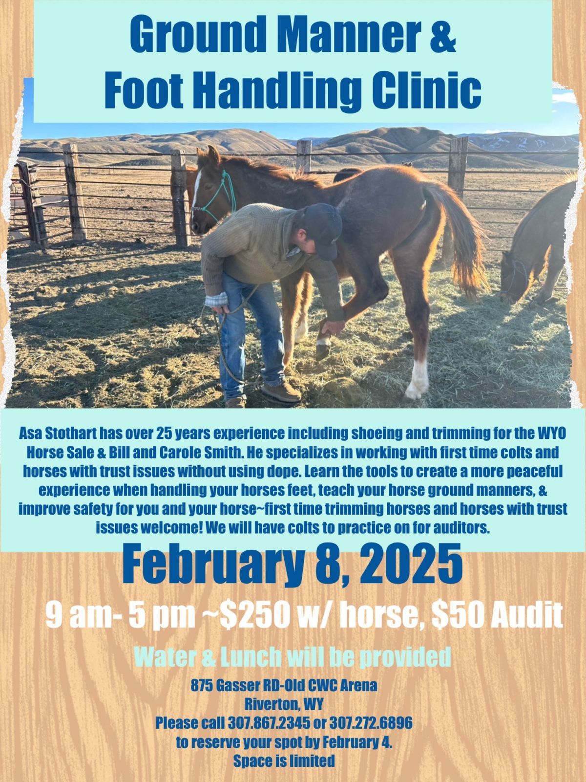 Ground Manner & Hoof Handling Clinic 