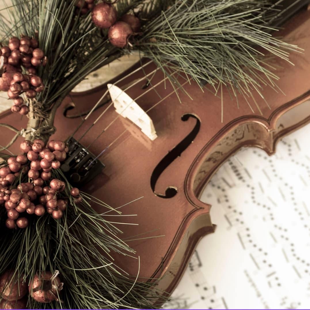 Vivaldi's Four Seasons at Christmas at Chester Cathedral | Liverpool