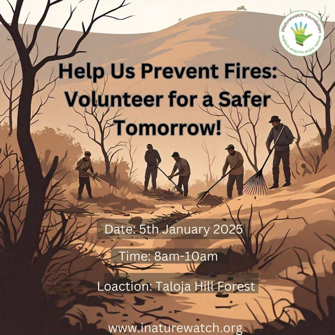 Help Us Prevent Fires: Volunteer for a Safer Tomorrow!