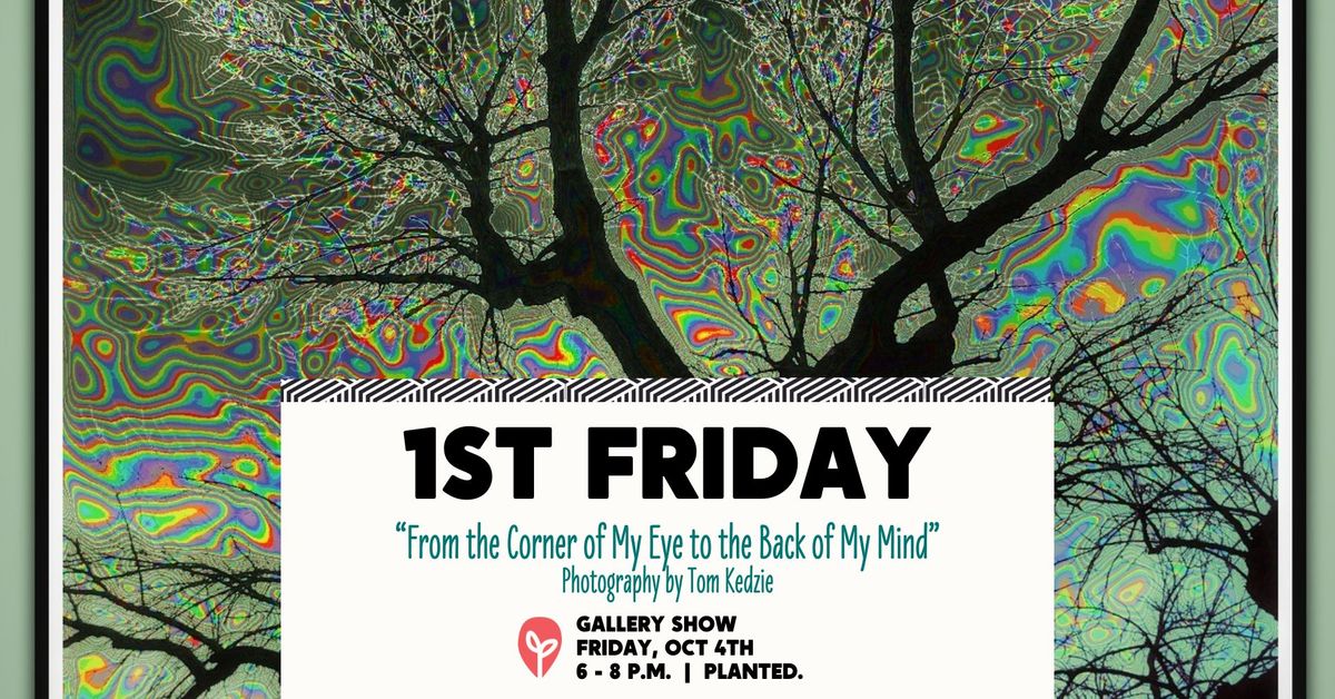 1st Friday Gallery Opening Night: From the Corner of My Eye to the Back of my Mind by Tom Kedzie