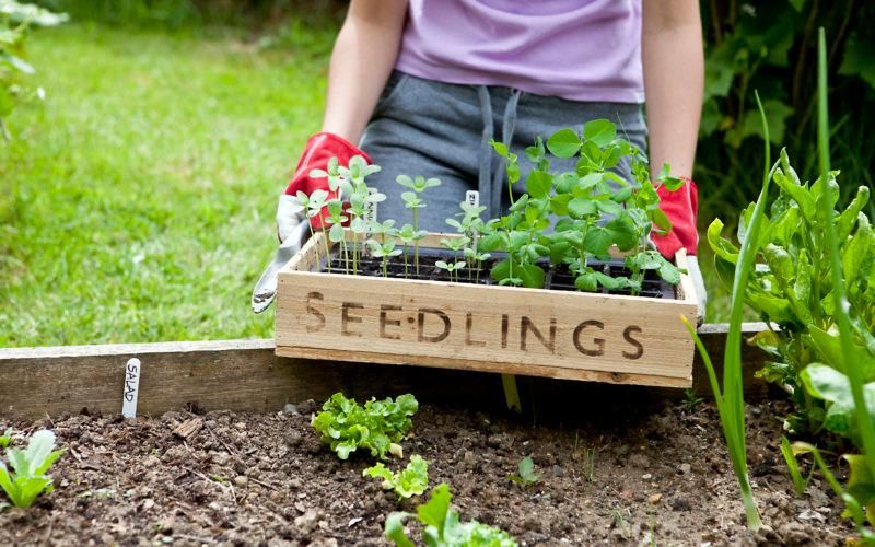 Spring Garden Workshop at KC's Farm