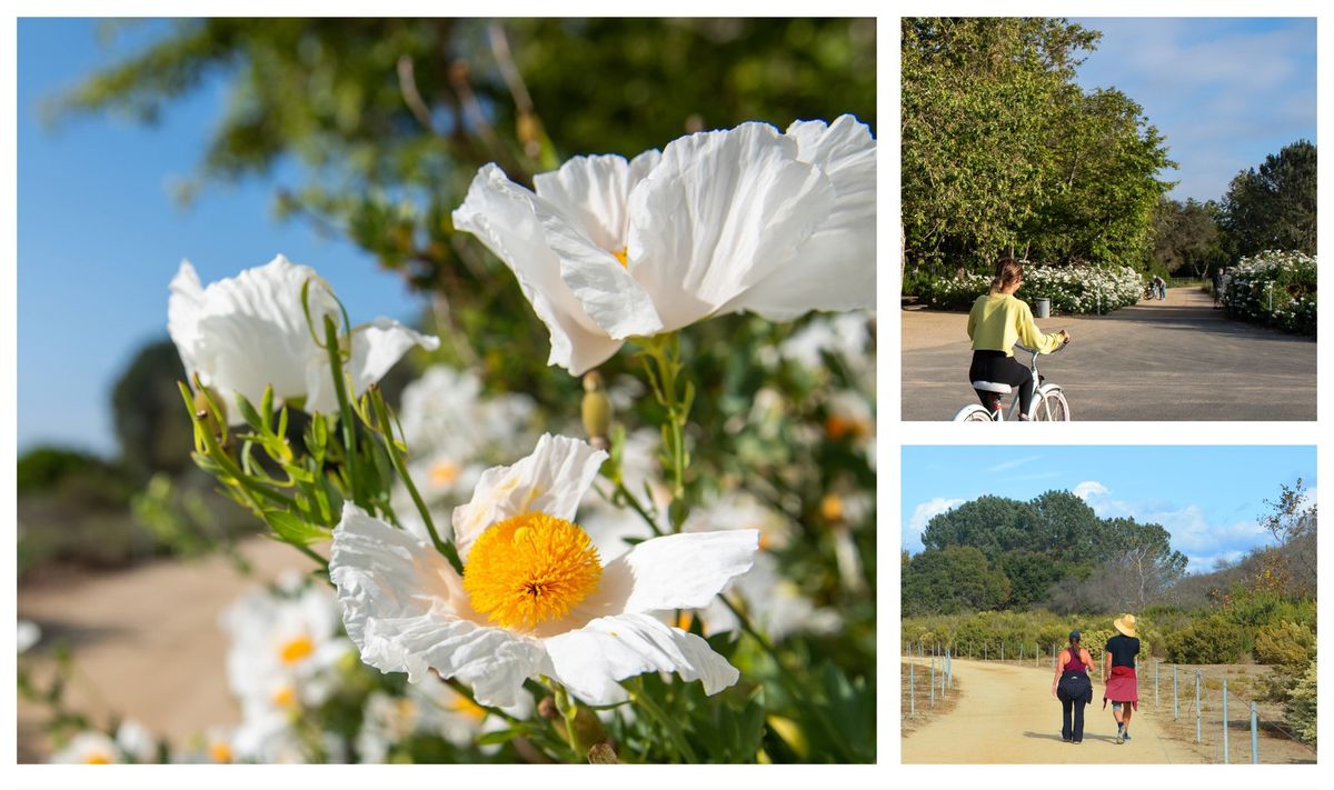 Talbert Regional Park Master Plan Public Open House