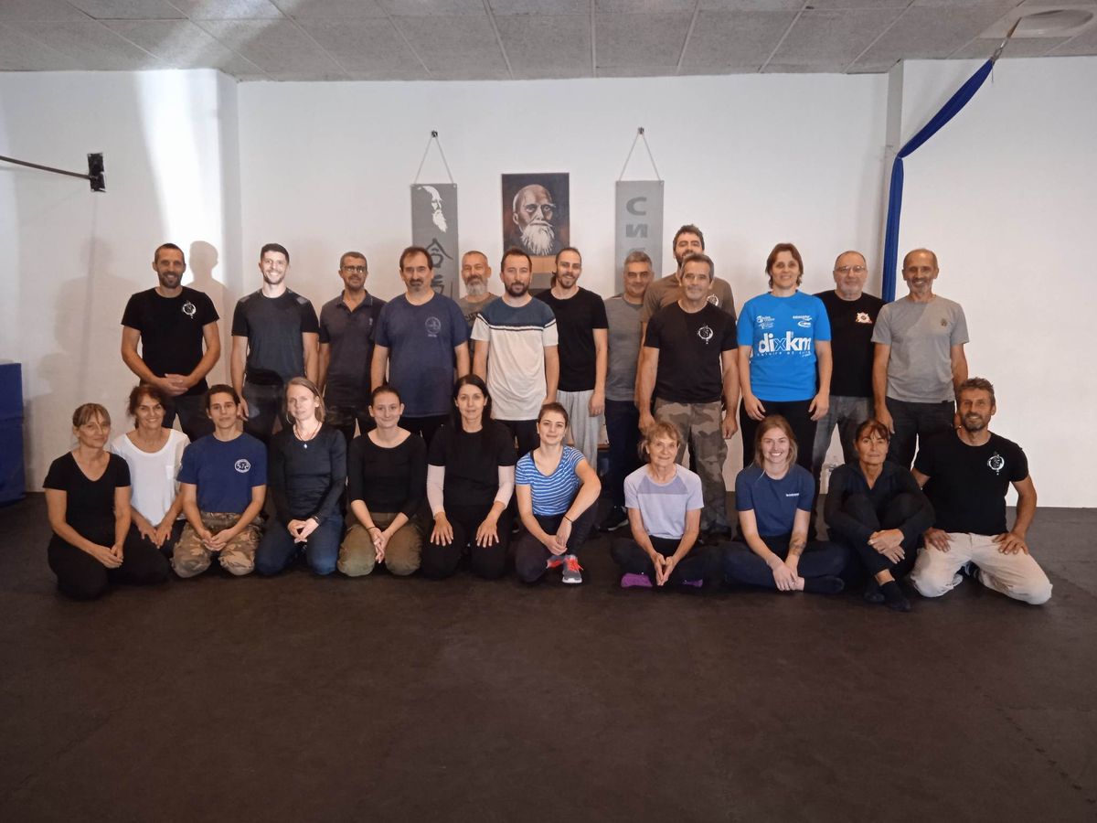 Cursus instructeur de Systema, formation au niveau 1