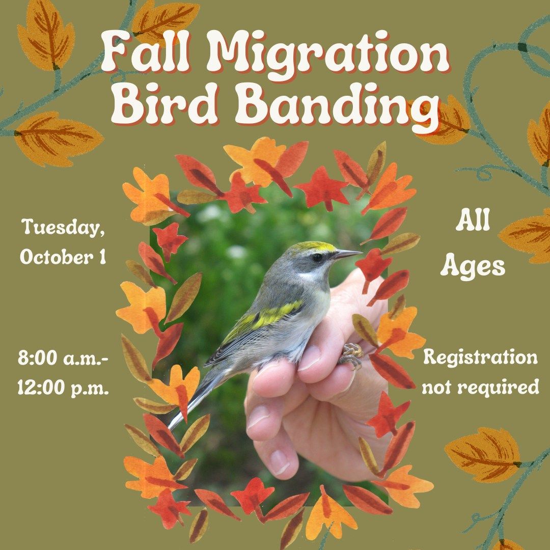 Observe Fall Bird Banding Research