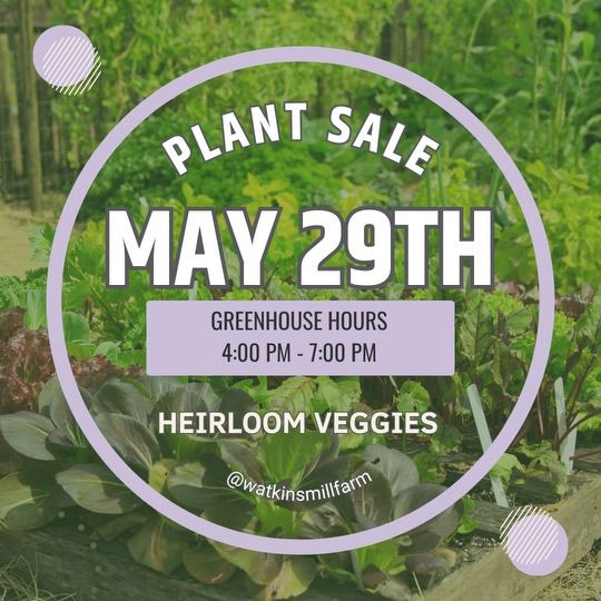 Wednesday Heirloom Veggie Plant Sale - ? ? 
