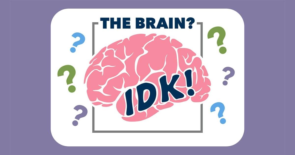 The Brain? IDK! - What we know and don't know about brain cells.