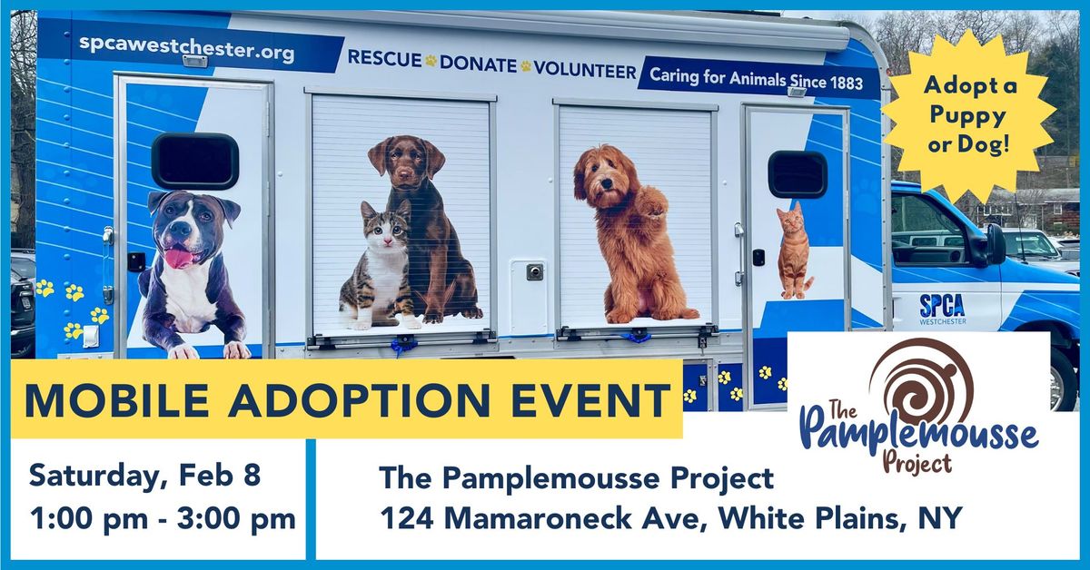 Mobile Adoption Event- The Pamplemousse Project