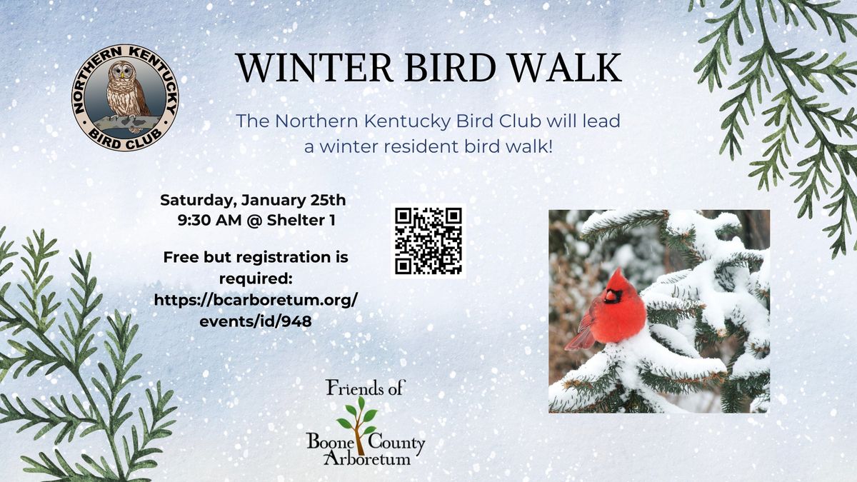 Winter Resident Bird Walk