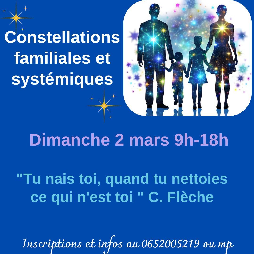 JOURNEE Constellations Familiales et Syst\u00e9miques 