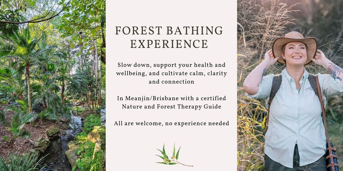 Forest Bathing experience - Brisbane