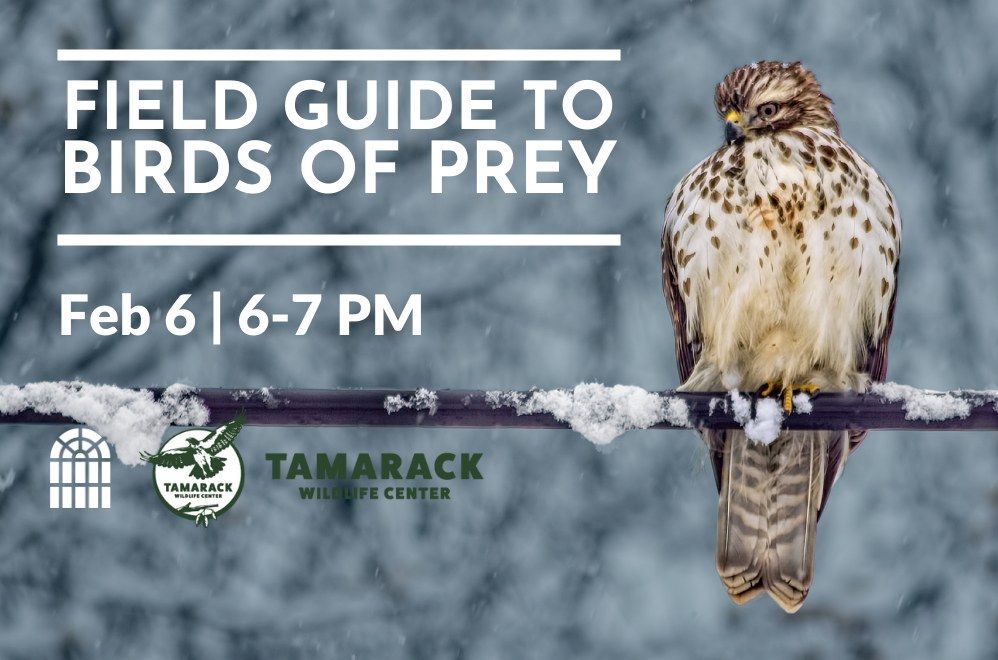 Field Guide to Birds of Prey with Tamarack Wildlife Center