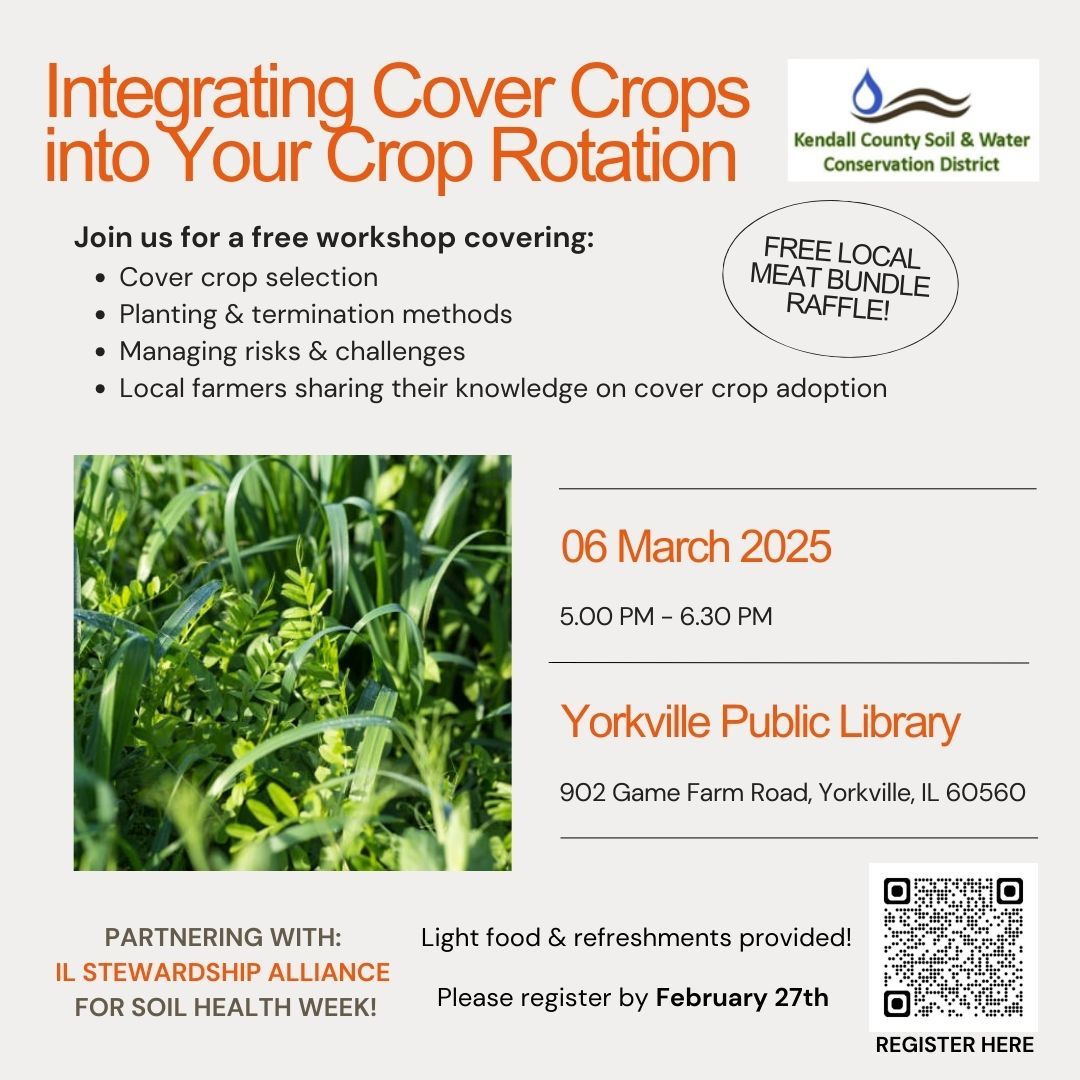 Integrating Cover Crops into Your Crop Rotation