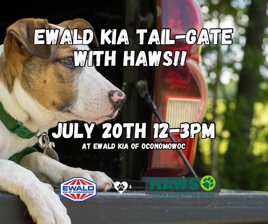 Ewald Kia Tail-Gate with HAWS 