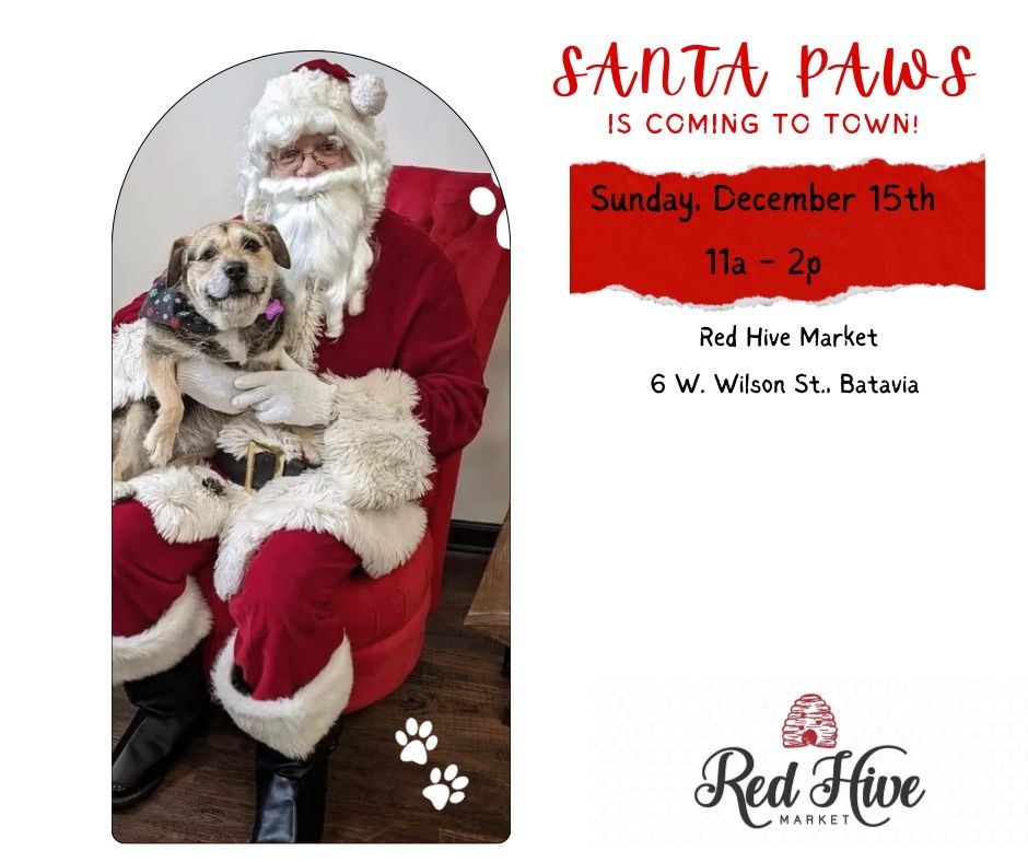 Santa Paws! Is Coming to Town!