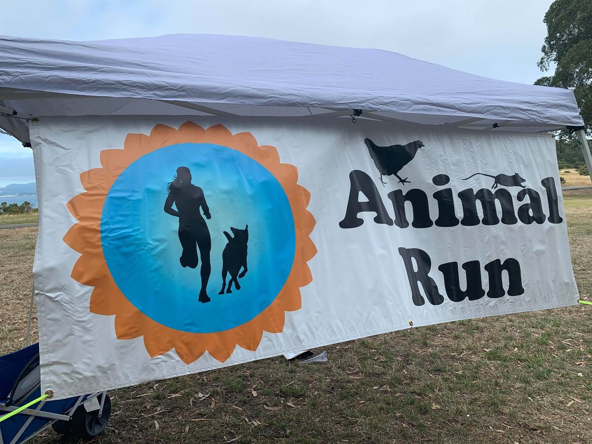 The Animal Run 5k Tofurkey Trot