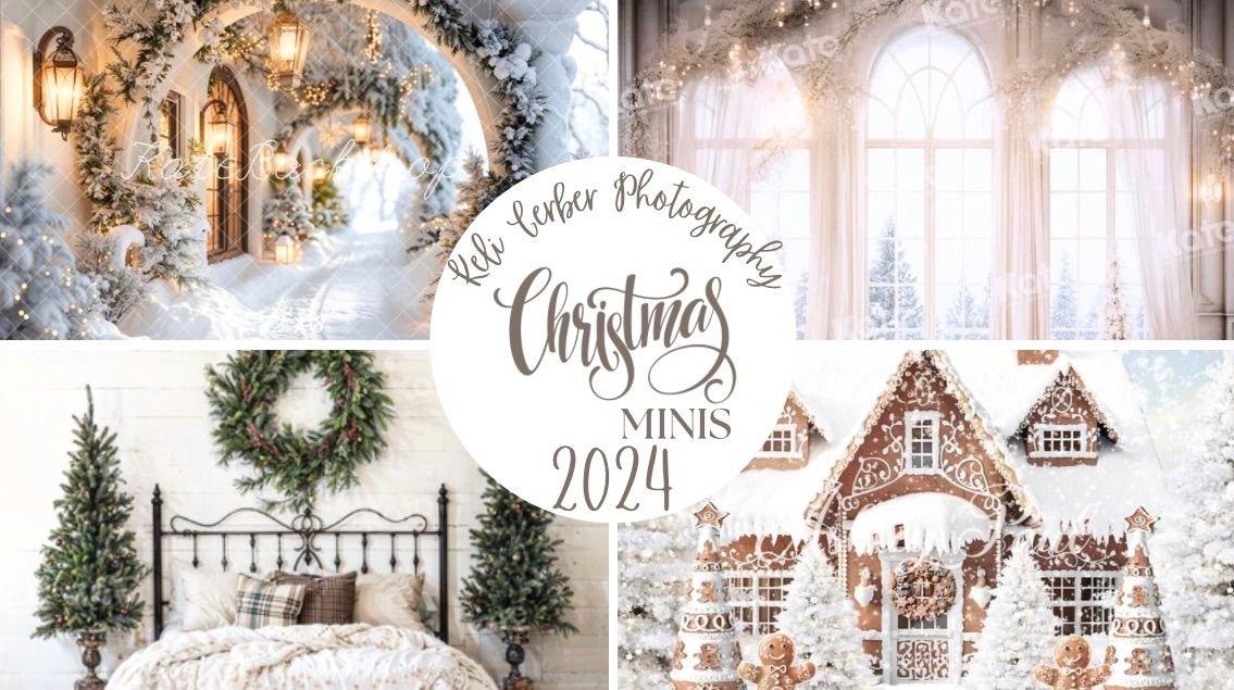 Christmas Sessions + Minis 2024