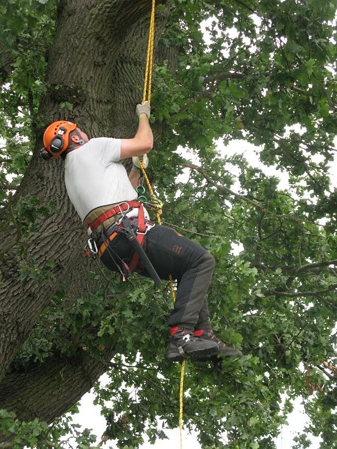 NPTC 0020-07 Rope & Harness & NPTC 0020-13 Tree Climbing & Rescue (CS38 ...