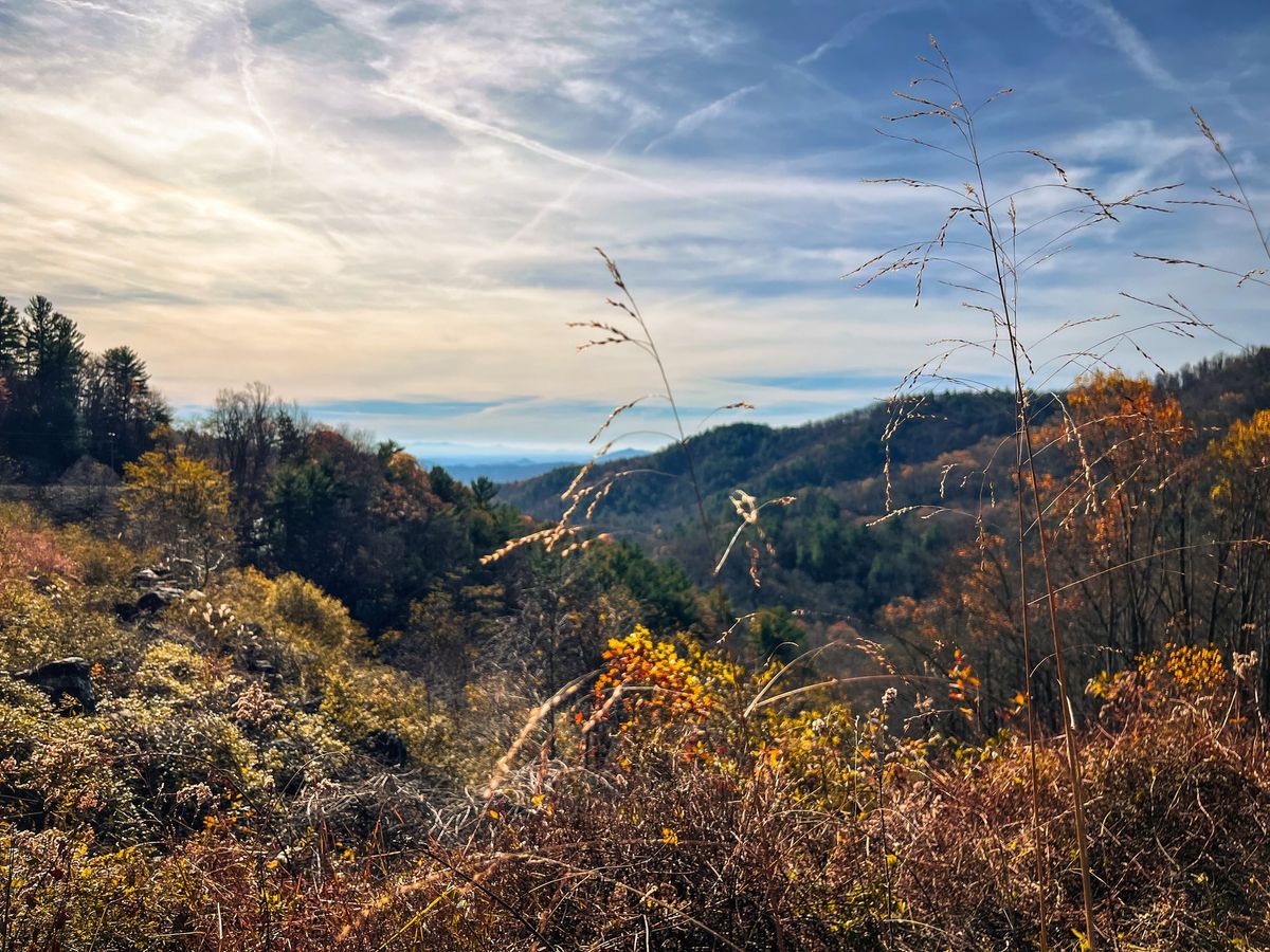 The Grief Day Retreat