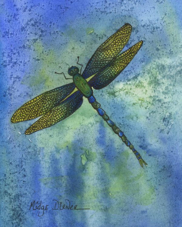 Dragonfly Fun (Watercolor & Zendoodle) with Midge Diener 10\/25\/24