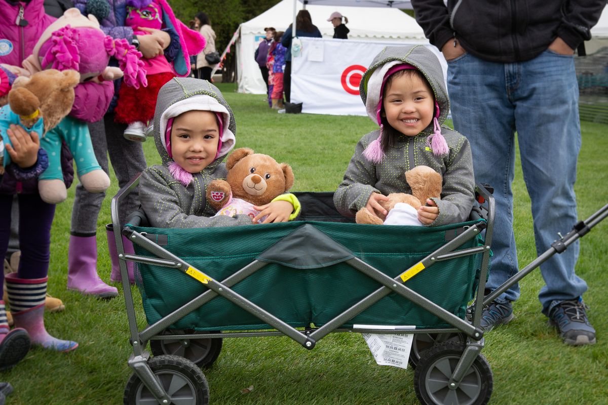 Teddy Bears' Picnic 