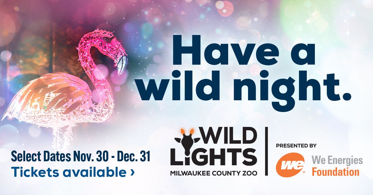 Wild Lights 2024