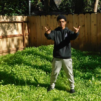 FADED ASTRONAUT PRODUCTIONS LLC