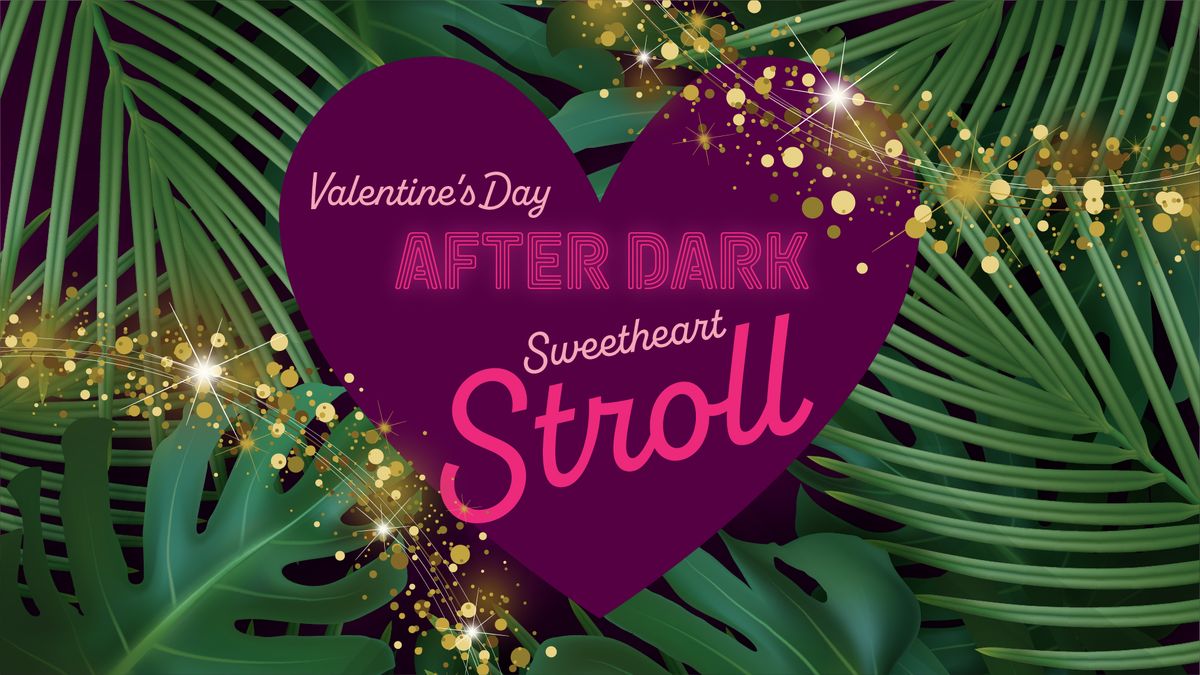 Valentine's Day After Dark Sweetheart Stroll