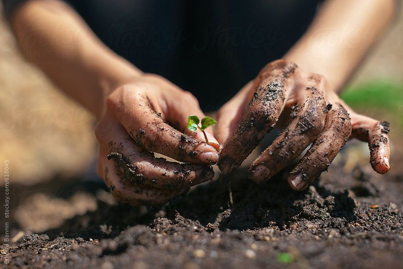 Ash Wednesday - Solidarity with the Soil