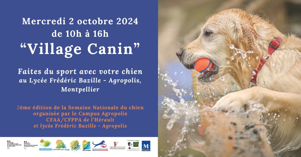 \u201cVillage Canin\u201d Faites du sport avec votre chien