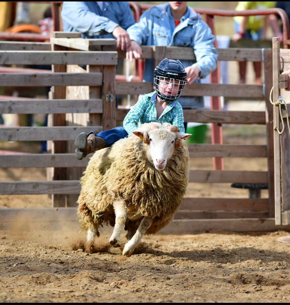 Mutton Bustin\u2019 Clinic