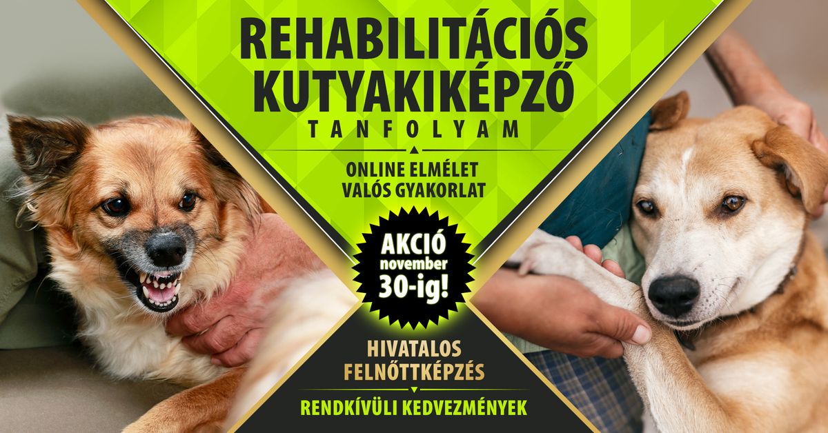 REHABILIT\u00c1CI\u00d3S KUTYAKIK\u00c9PZ\u0150 TANFOLYAM - Hivatalos feln\u0151ttk\u00e9pz\u00e9s!