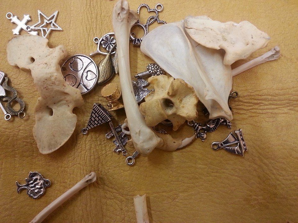 Intro to the Ancient Art of Bone Reading $45 (includes bone kit)