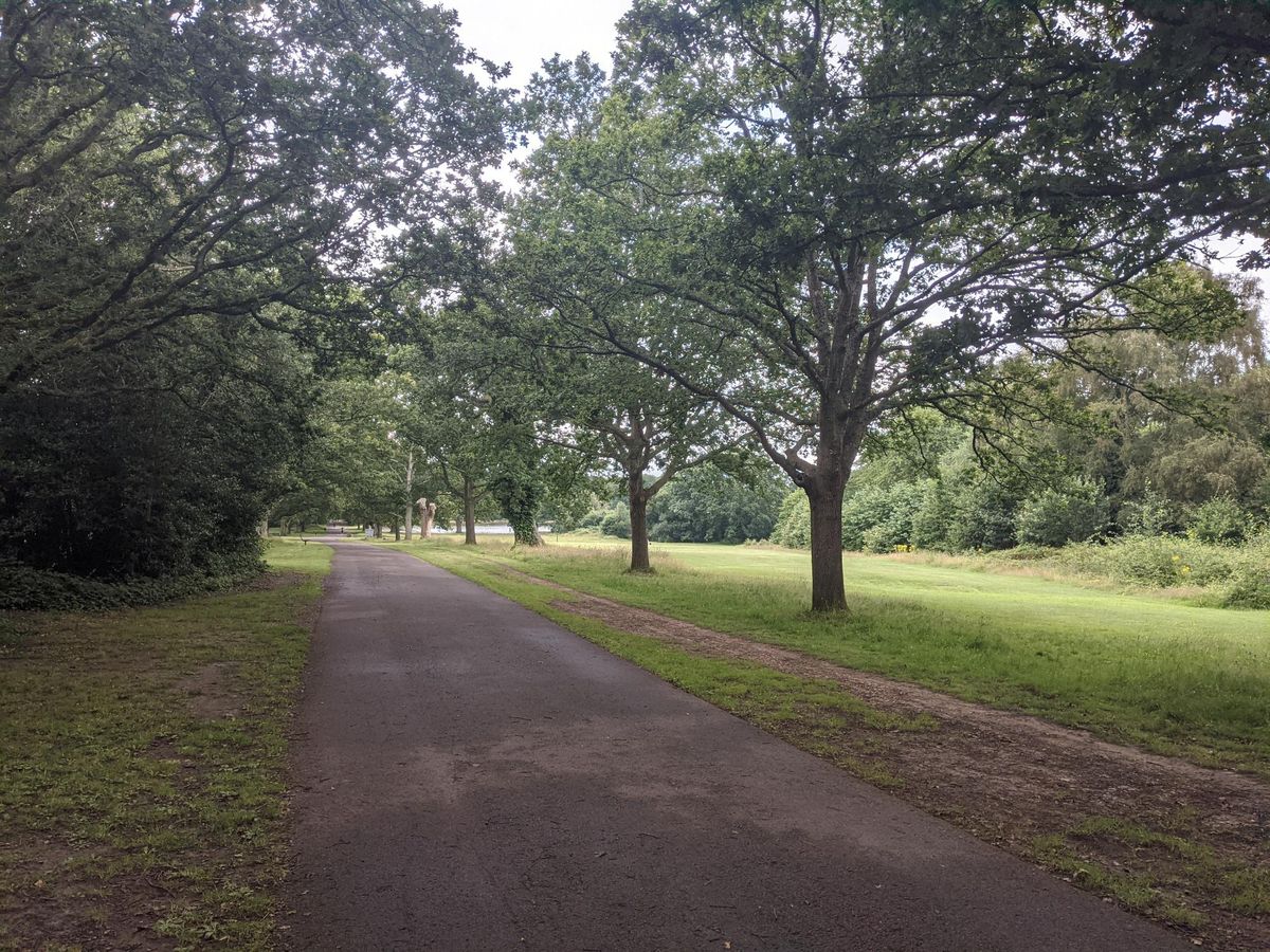 Thinking Thursdays: A Walk Around The Common