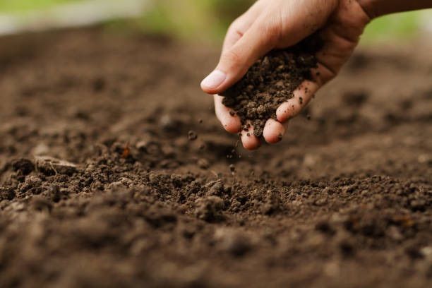 Establishing Soil Health 