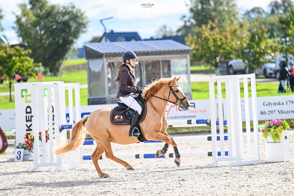 Zawody DiM, Eliminacja do CSiO Young Stars