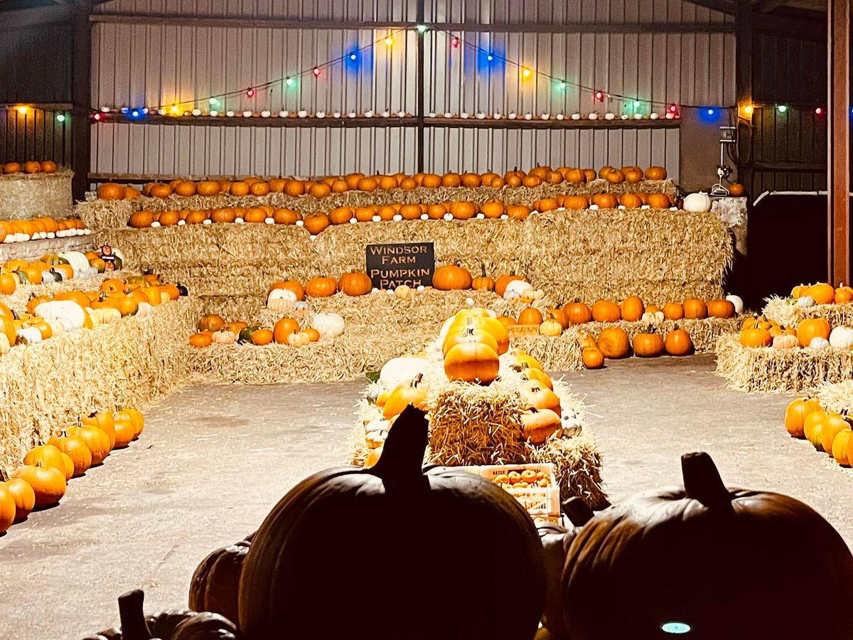 Pumpkin Patch & Farm Barn