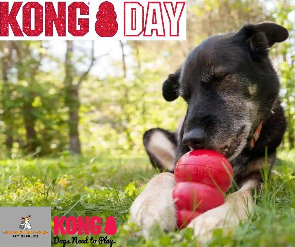 Kong Day 