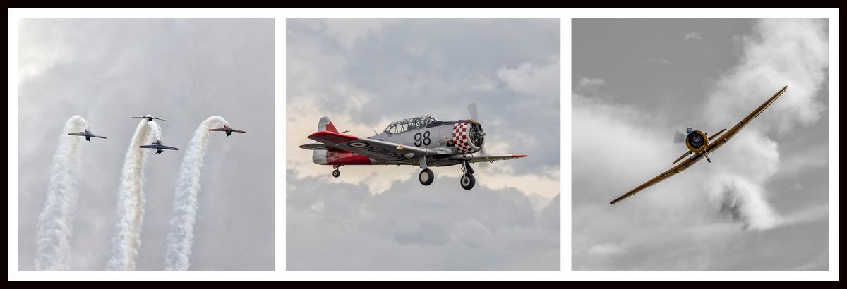 Avalon Australian Airshow (Melbourne)