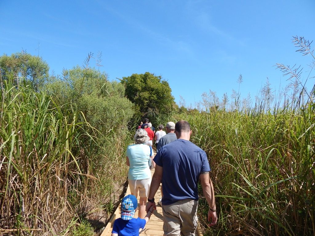 Summers-end Nature Walk