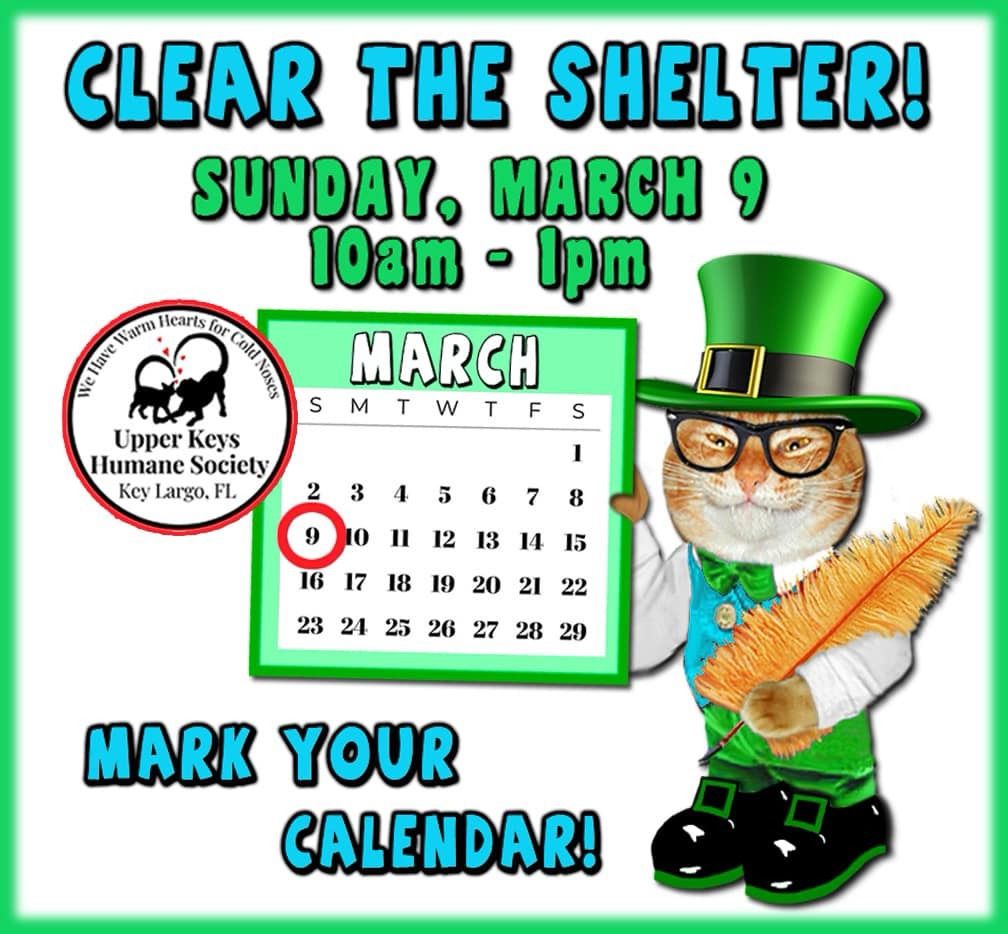 Clear the shelter 