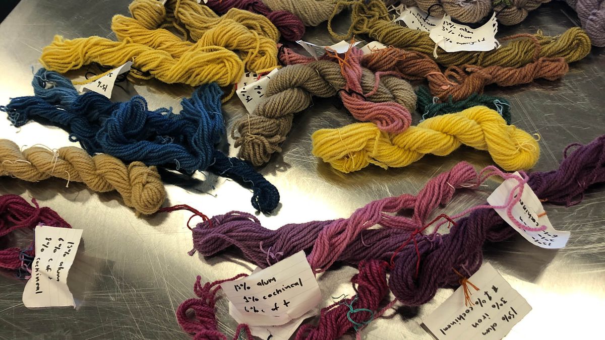 Natural Dyes with Pam 