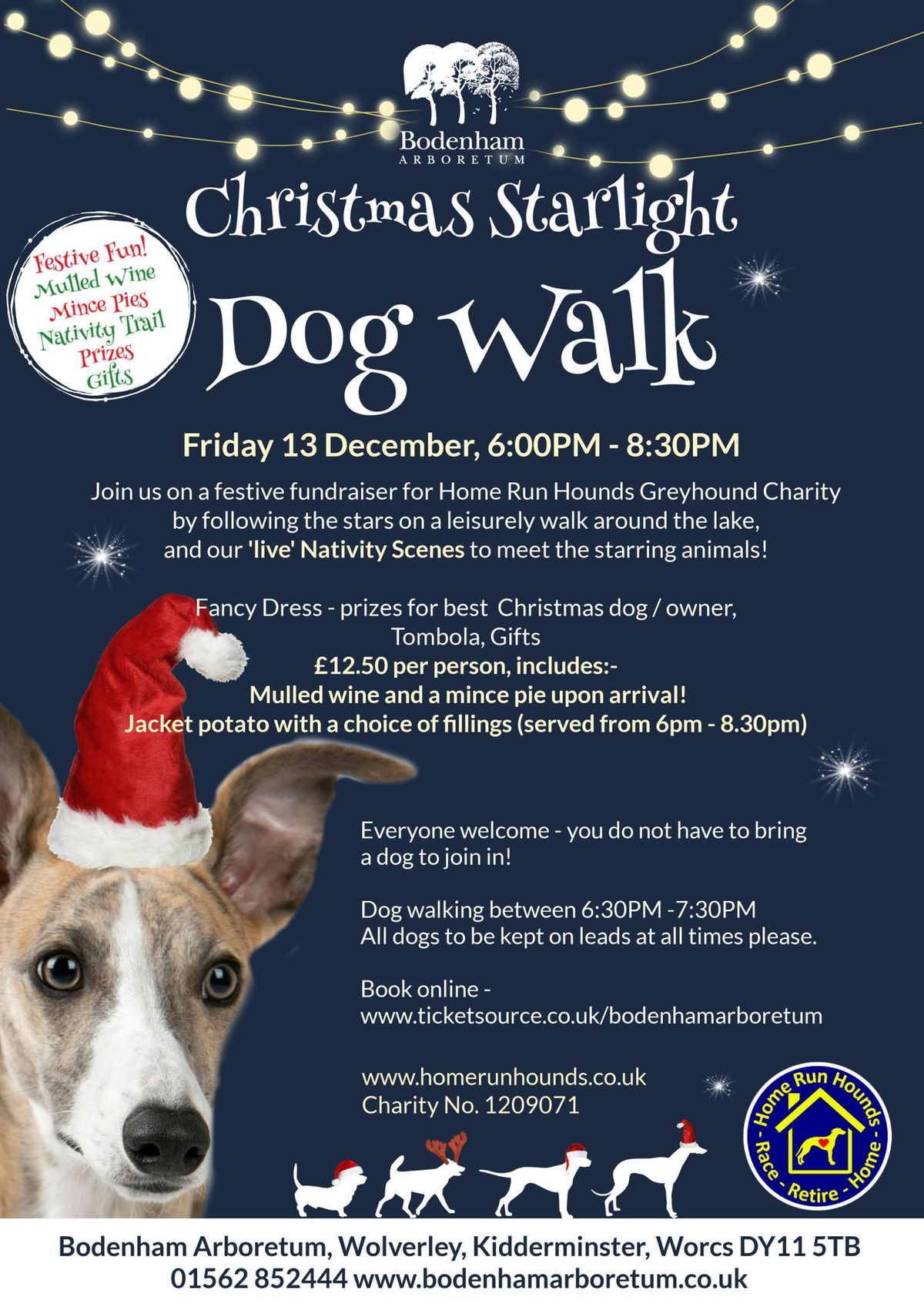 Christmas Starlight Dog Walk 