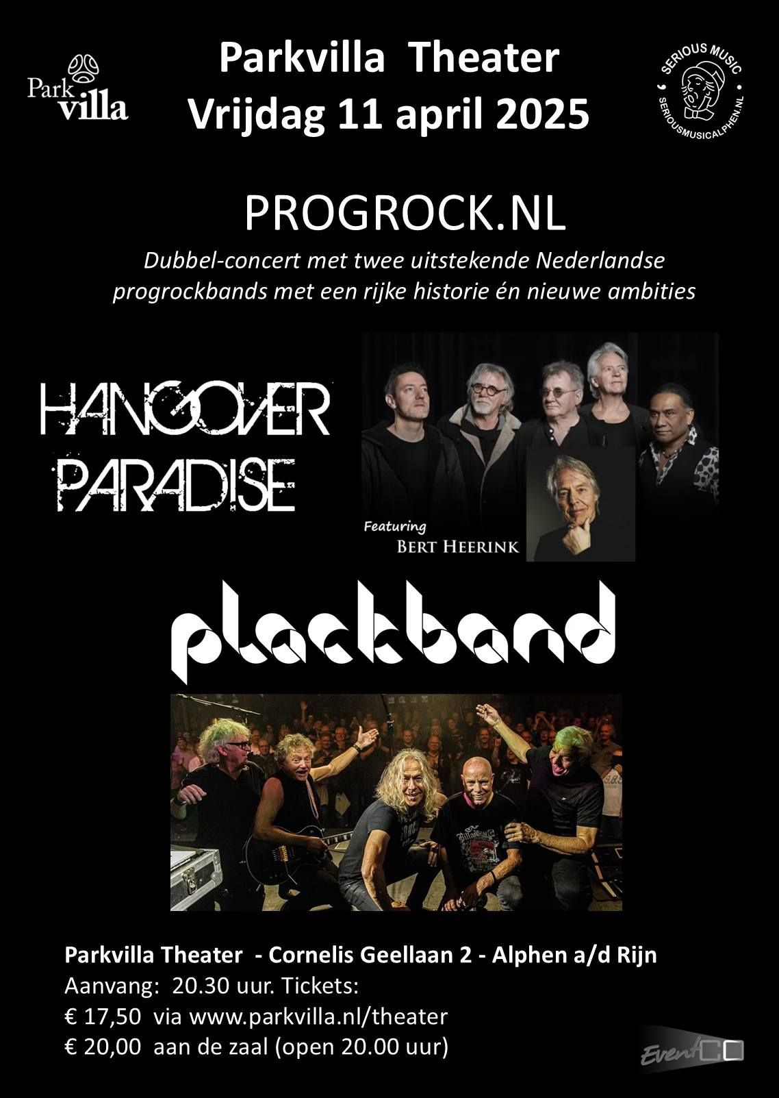 Hangover Paradise en Plackband