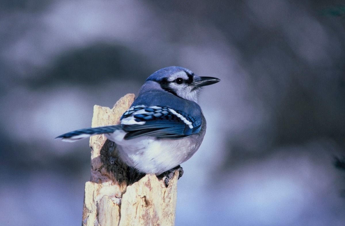 Winter Photography Photo Hike